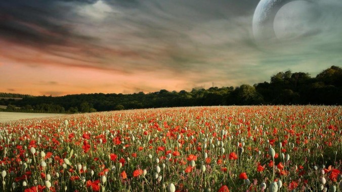 长期使用的大佬来说说，MacOS 真的比 Windows 稳定吗？